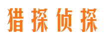 亚东侦探公司